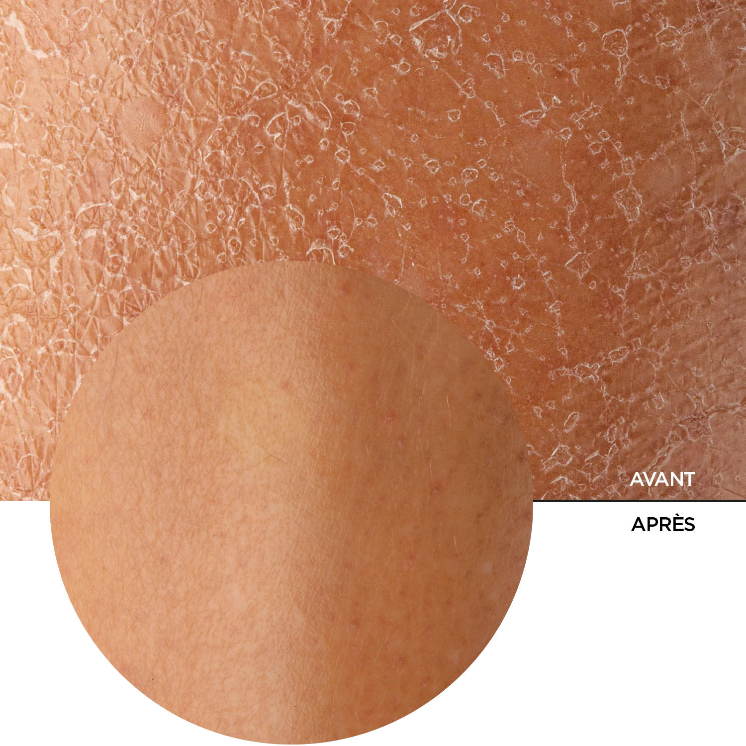 JUST Collagène Marin + HA – Image 8