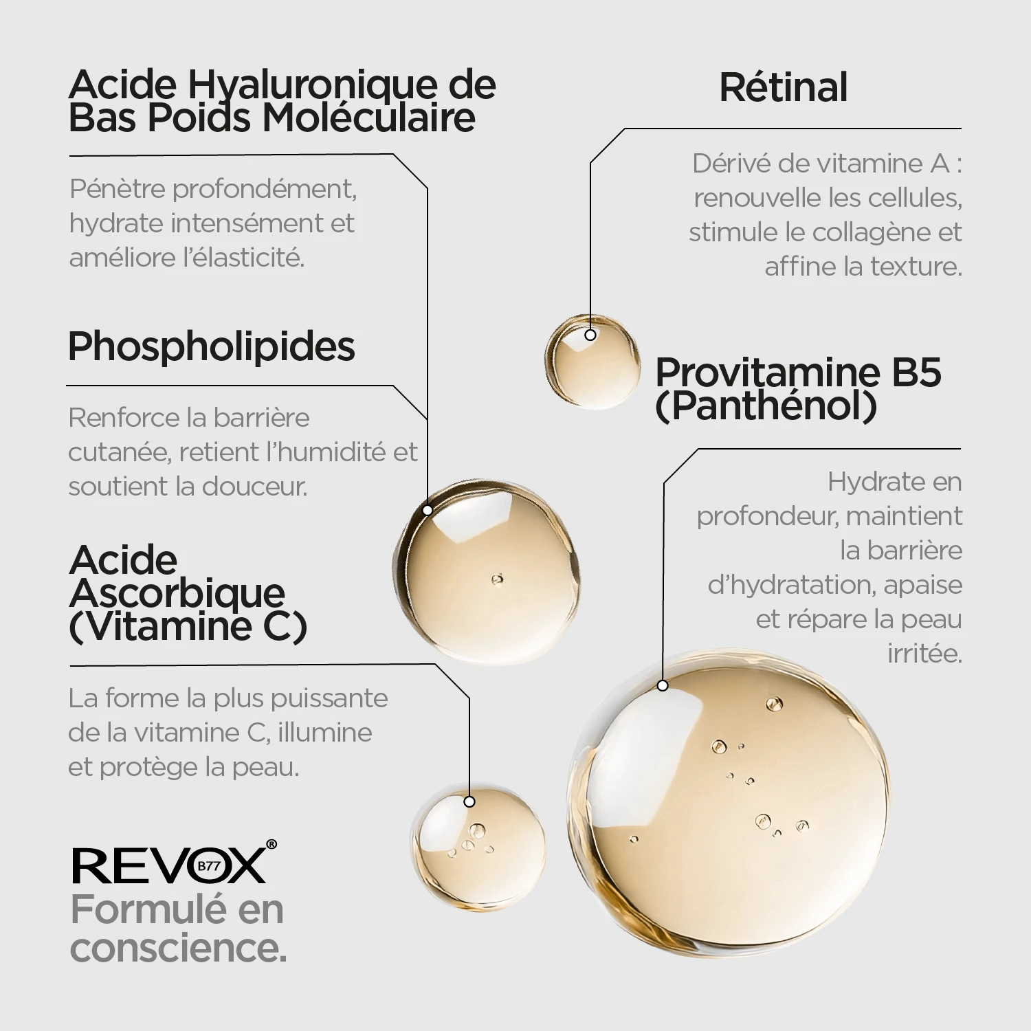 JUST Retinal – Image 4